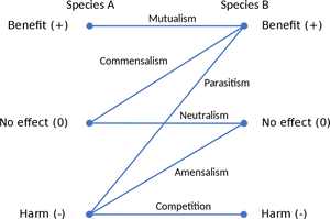 Ecological Interactions Chart PNG