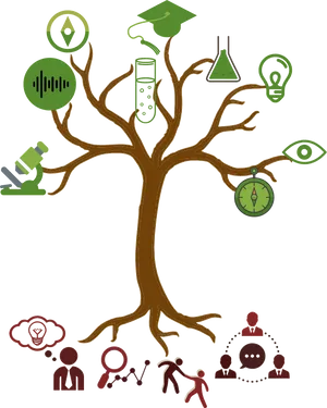 Educational Concepts Tree PNG Image