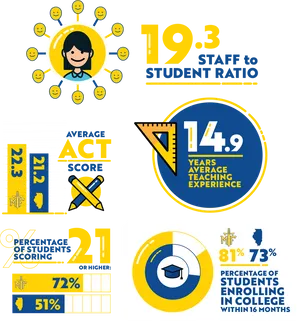 Educational Infographic Statistics PNG Image