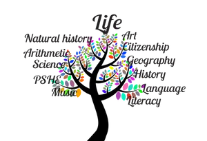 Educational Subjects Tree Concept PNG