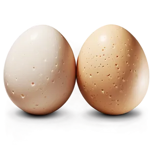 Egg Crack Detail Png 06132024 PNG Image