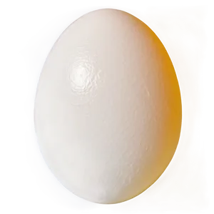 Egg Sunny Side Up PNG 05242024 PNG