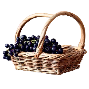 Elderberry Basket Png Jgi PNG Image