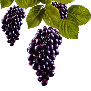 Elderberry Wine Png Olf PNG Image