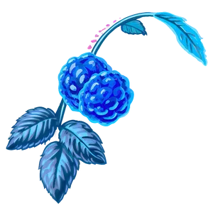 Electric Blue Raspberry Png 3 PNG Image