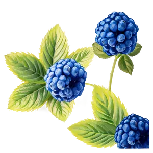 Electric Blue Raspberry Png Cmy PNG Image