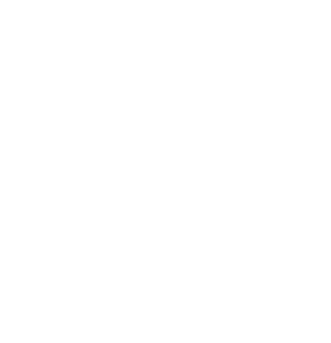 Electric Bolt Logo Graphic PNG Image