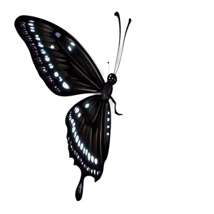 Elegant Black Butterfly Art Png 06252024 PNG Image