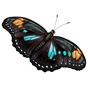 Elegant Black Butterfly Art Png Gvf PNG Image