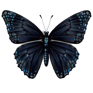 Elegant Black Butterfly Art Png Smj PNG Image