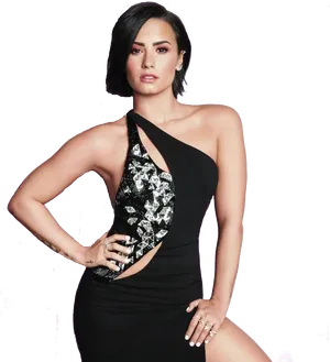 Elegant Black Dress Portrait PNG Image