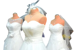 Elegant Bridal Gowns Display PNG Image