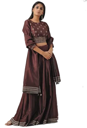 Elegant Brown Lehenga Choli Design PNG Image