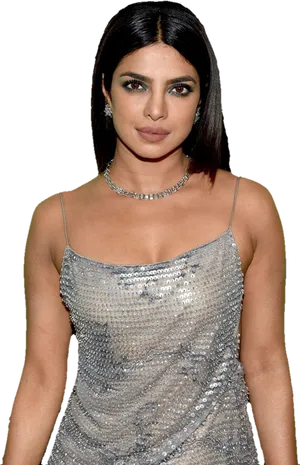 Elegant Celebrityin Silver Dress PNG Image