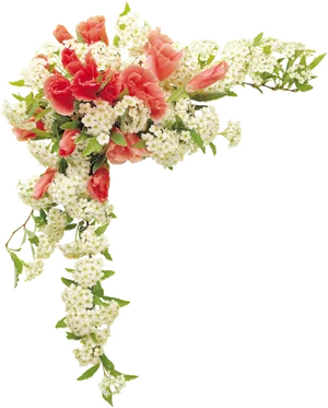 Elegant Corner Flower Design.png PNG Image