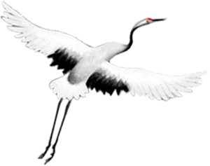 Elegant Crane In Flight.png PNG Image