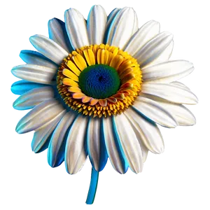 Elegant Daisy Png Oxs PNG Image