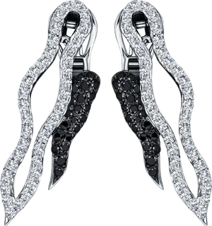 Elegant Diamondand Black Gemstone Earrings PNG Image