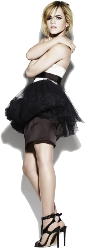 Elegant Emmain Black Tulle Skirt PNG Image