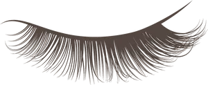 Elegant Eyelash Illustration.png PNG Image