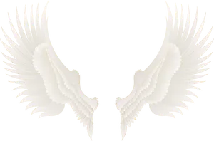 Elegant Feathered Wings Illustration PNG Image