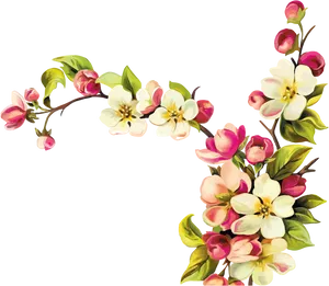 Elegant Floral Arrangementon Black PNG Image