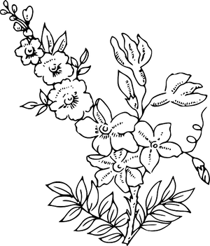 Elegant Floral Outline Artwork PNG Image