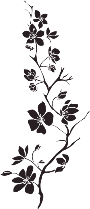 Elegant Floral Silhouette Black Background PNG Image