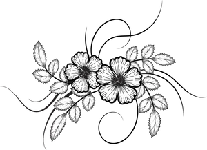 Elegant Floral Sketch PNG Image