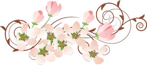 Elegant Floral Vector Design PNG Image