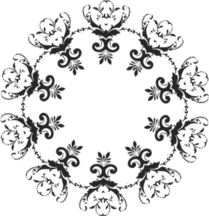 Elegant Floral Vector Frame PNG Image