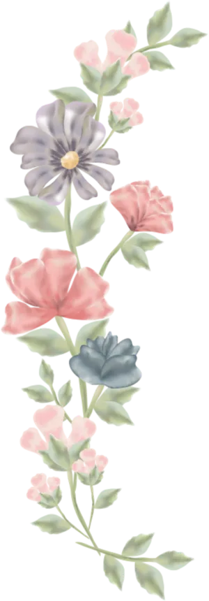 Elegant Floral Vector Illustration PNG Image