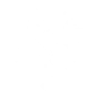 Elegant Flourish Design PNG Image