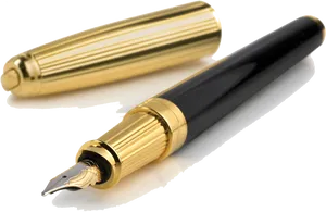 Elegant Fountain Pen PNG Image