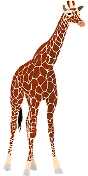 Elegant Giraffe Standing Vector PNG Image