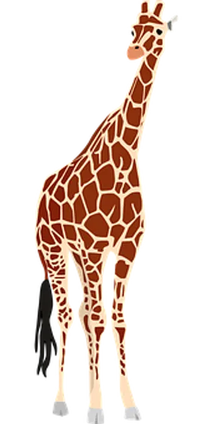 Elegant Giraffe Standing Vector PNG Image