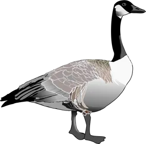 Elegant Goose Illustration PNG Image