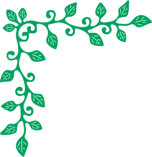 Elegant Green Floral Wedding Border Design PNG Image