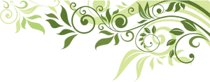 Elegant Green Leaf Flourish Border PNG Image