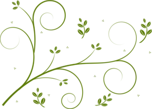 Elegant Green Vine Pattern PNG Image