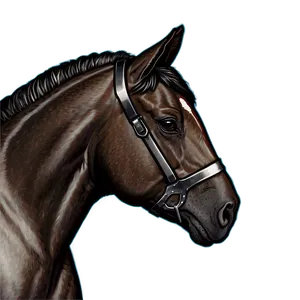 Elegant Horse Head Outline Png 39 PNG Image