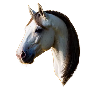 Elegant Horse Head Outline Png 77 PNG Image