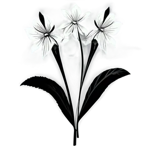 Elegant Monochrome Flowers Png Mcs PNG Image