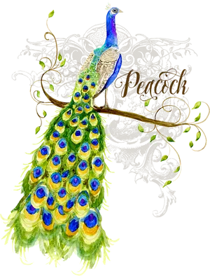 Elegant Peacock Artwork PNG Image