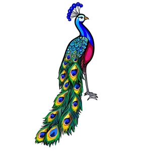 Elegant Peacock Design Png 06232024 PNG Image