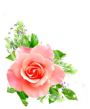 Elegant Pink Rose Floral Design.png PNG Image