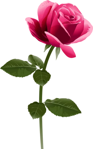 Elegant Pink Rose Vector PNG Image