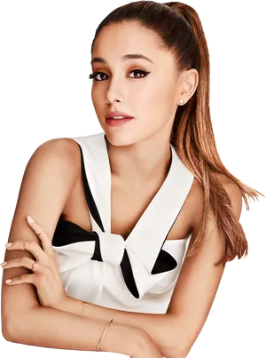 Elegant Ponytail Celebrity Portrait PNG Image