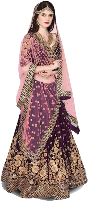 Elegant Purple Lehenga Choli PNG Image