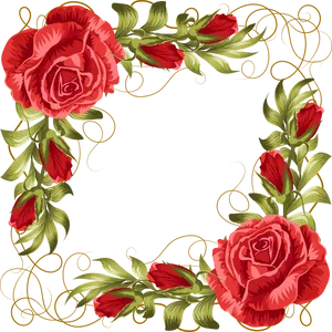 Elegant Red Rose Floral Frame PNG Image